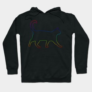 Rainbow Cat Line Art Hoodie